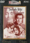 Saheb Bibi Aur Ghulam (Hindi)