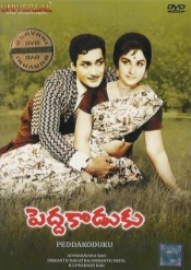 Pedda Koduku