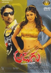 Adugu DTS®
