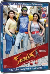 Latest Telugu Releases (12 DVDs)